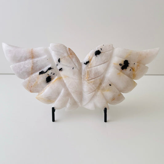 Angel Wings